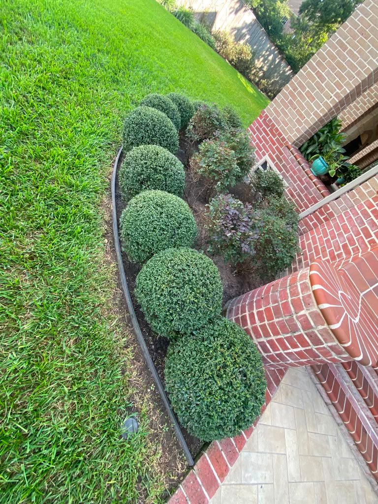 Residential shrubs shaped and maintained by Rainlandscaping